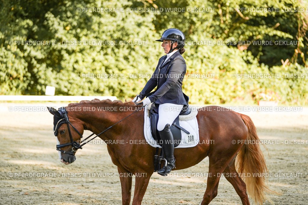 DSC06123 | Pferdegrafie