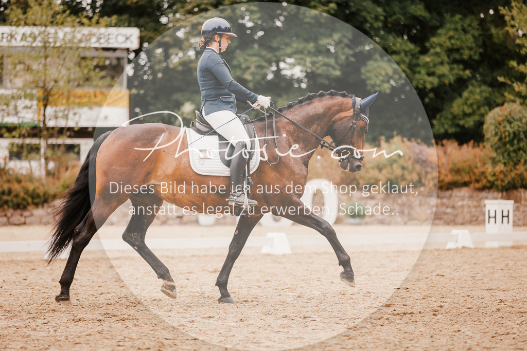 3I6A5940 | Stimmungsvolle Portraits und Reitsportfotografie im Ruhrgebiet und im Münsterland.

Pferdefotografie, Hundefotografie, Tierfotografie, Reportagen, Portraits von Tier und Mensch, Turnierfotografie in Bochum, Recklinghausen, Marl, Haltern am See, Dülmen.. - Realisiert mit Pictrs.com