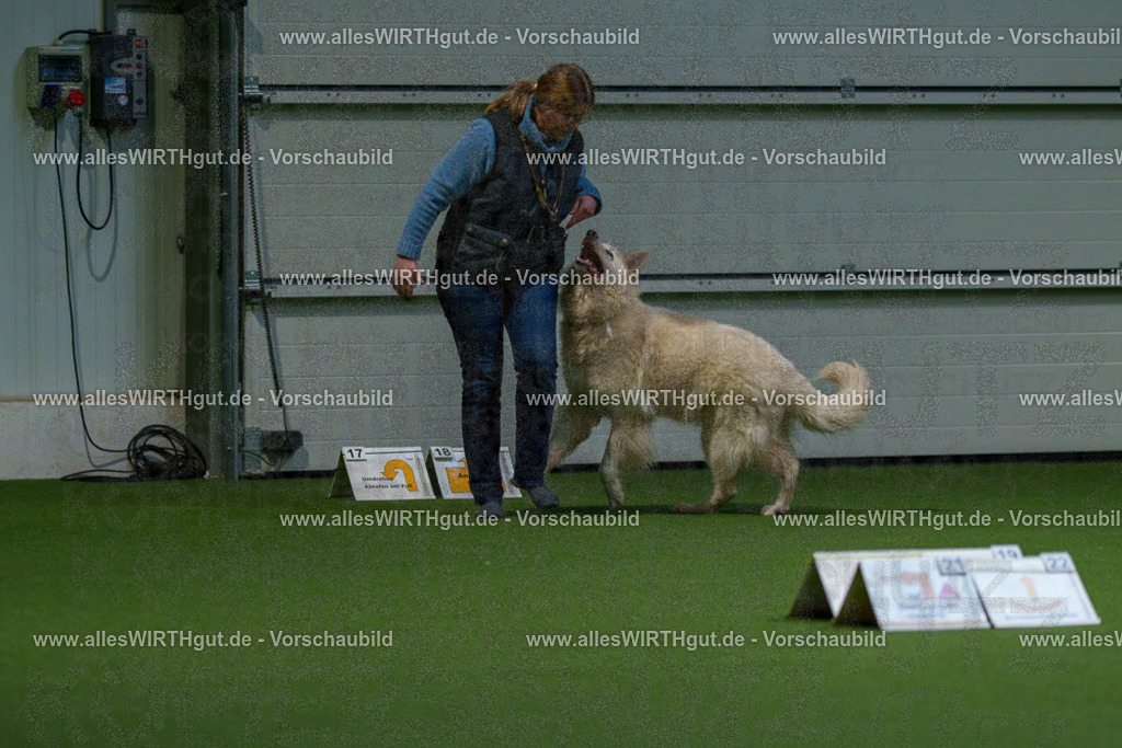 7R500197 | Professionelle Tierfotografie in Mönchengladbach von Daniel Wirth (allesWIRTHgut). Liebevolle & natürliche Bilder von Hunden & Katzen für unvergessliche Erinnerungen.