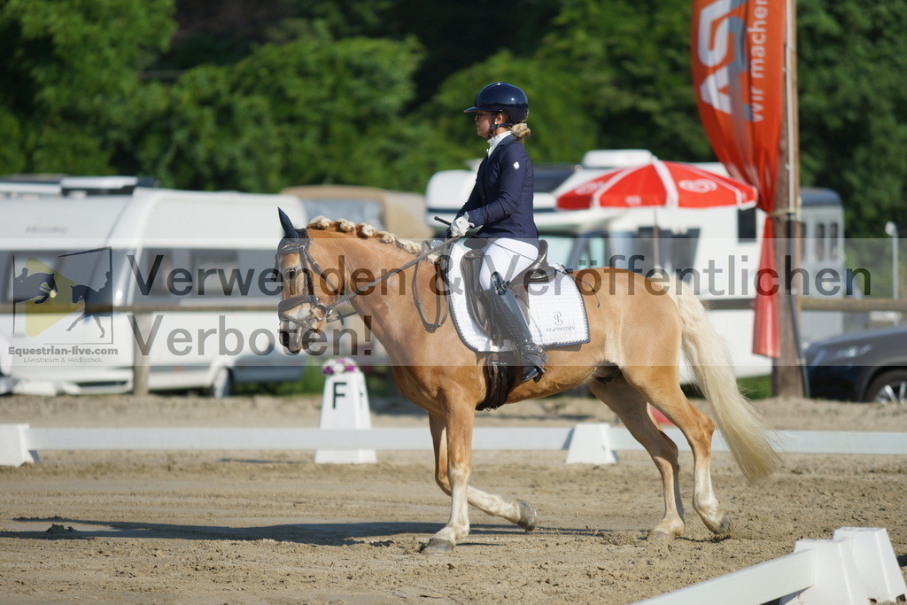 DSC04119 | equestrian-live-com