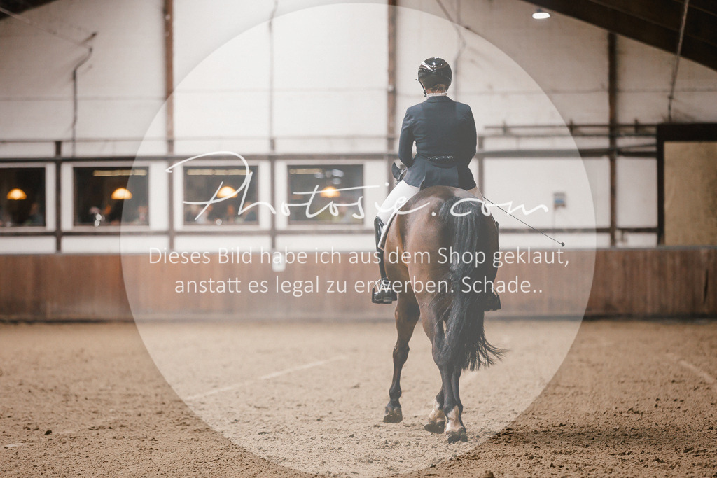 3I6A8296 | Stimmungsvolle Portraits und Reitsportfotografie im Ruhrgebiet und im Münsterland.

Pferdefotografie, Hundefotografie, Tierfotografie, Reportagen, Portraits von Tier und Mensch, Turnierfotografie in Bochum, Recklinghausen, Marl, Haltern am See, Dülmen.. - Realisiert mit Pictrs.com