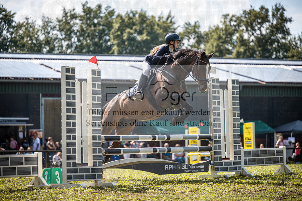 Z63_0003 | Entdecke hochwertige Reitturnierfotos von Foto Oger. Professionell, emotional und authentisch – jetzt Lieblingsmomente im Shop bestellen.Deutschlandweite Turnierfotografie. - Realisiert mit Pictrs.com