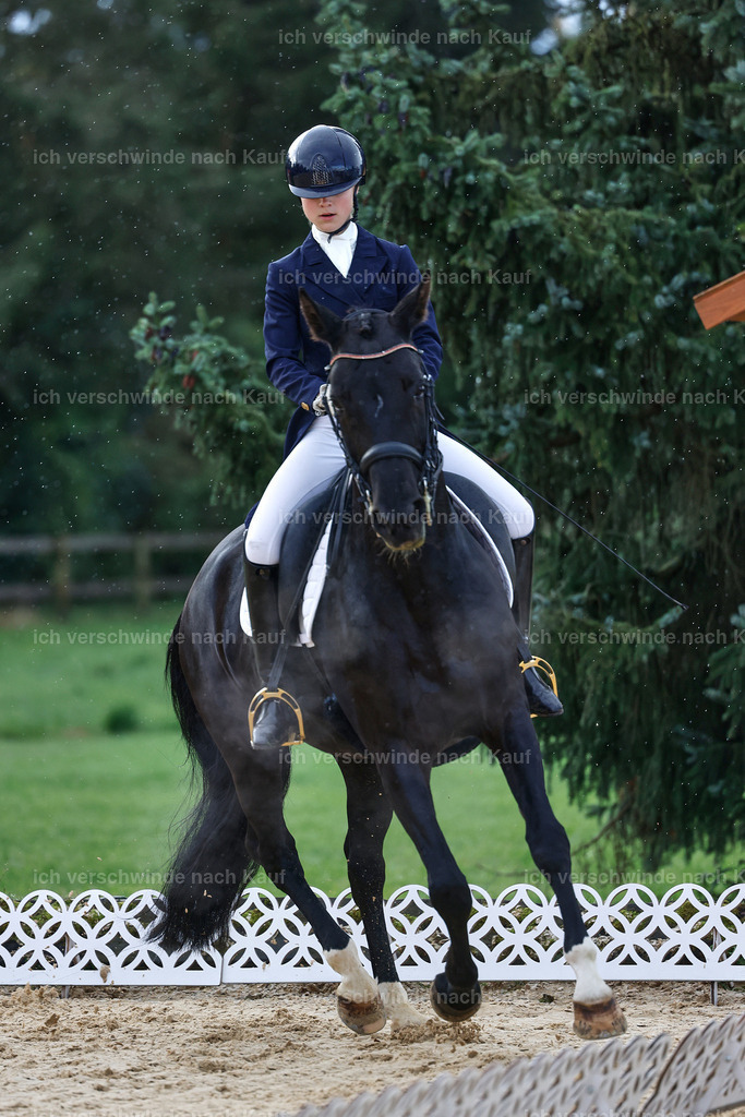 10-033-ST.GEORG SPECIAL -StoibPH-3124 | working equitationturnier fotograf videograf stoibphotography marixx film working equitation deutschland reitsport turnierfotografie eventfotografie equestrian events