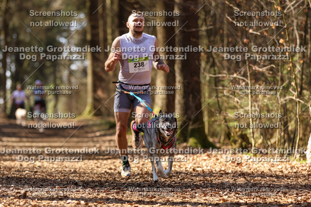 Dog Paparazzi - VCC26-1141 | Dog Paparazzi Jeanette Grottendiek Fotografie & Videografie - Realisiert mit Pictrs.com