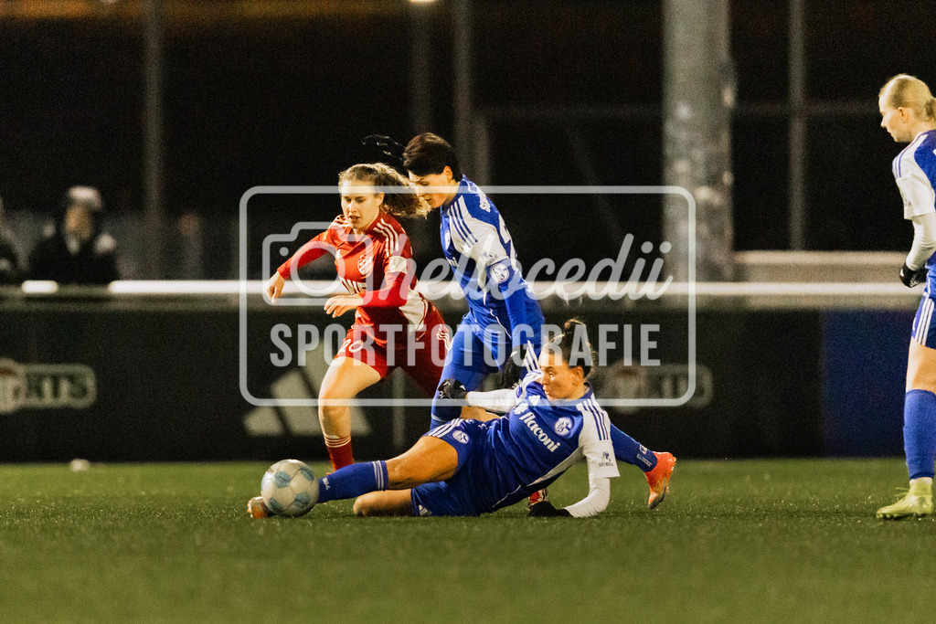 Fußball I Frauen I Saison 2025-2026 I Testspiel I FC Schalke 04 - SpVg Aurich I 14.02.2026-064 | Ana-Carolin Hoffmann (20, SpVg Aurich) Shari Noffke (24, FC Schalke 04) Meltem Karadag (3, FC Schalke 04) - Realisiert mit Pictrs.com