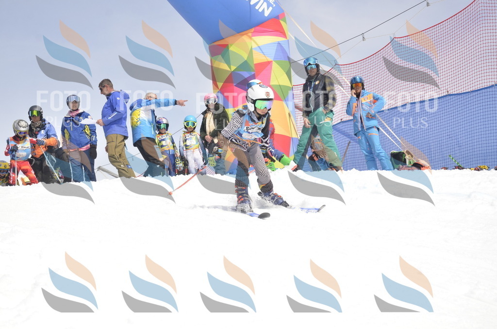 _ELE8672 | holidayphoto