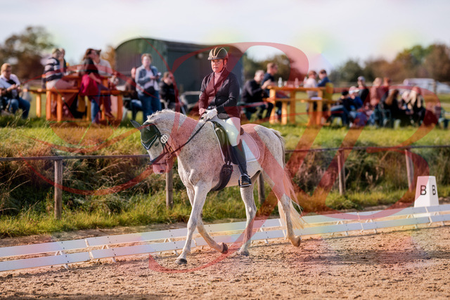 2026_10_03_Siefer-Hof_122629_Z81_25744715 | Professionelle Reitsport-, Turnier- und Eventfotografie von Robert Broda. Galerien mit ausgewählten und bearbeiteten Bildern direkt online ansehen und bestellen.