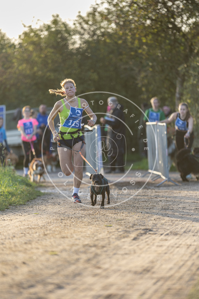 Pfotenfotografie.de_DV3A2451 | Hundefotografie, Tierfotograf, Pfotenfotografie, Fotoshooting Hund, Hunde Portrait, Hundesport, Hundeportraits, Heideshooting, Hunde, Sportfotograf, Hundefotograf, Turnierhundsport, THS, canicross - Realisiert mit Pictrs.com