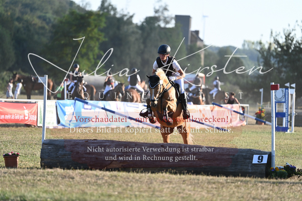 DSC_9233 | Pferde- und Turnierfotografie in Westsachsen. Pferdeportraits, Auftragszeichnungen und intuitive Kunst.