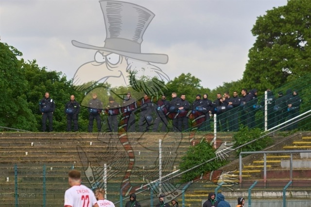 BFC Dynamo vs. FSV Zwickau 059 | mythos-online-redaktion