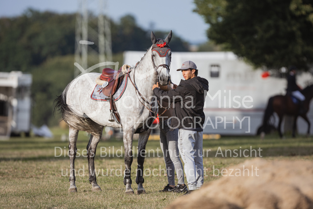 220728_BHO_ST_M1-Spr_2-802 | Deine schönsten Turniermomente als professionelle Fotos! Entdecke hochwertige Pferdesport-Fotografie im Online-Shop. Jetzt Fotos finden & bestellen!