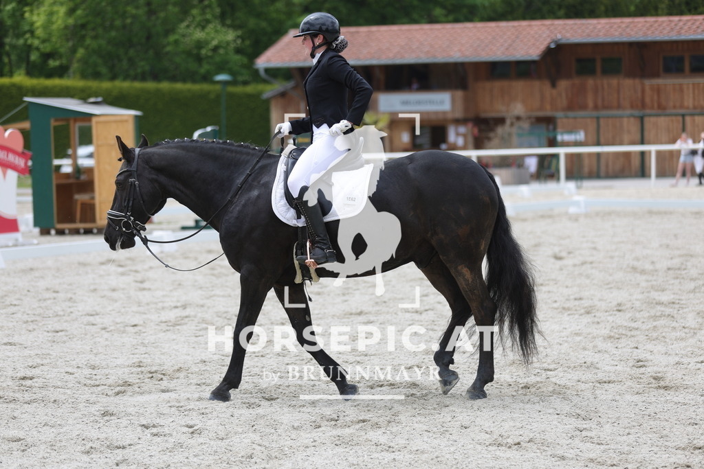 0P6A1648 | Willkommen bei Brunnmayr - Design & Fotografie – Ihrem Spezialisten für Reitturniere und Pferdeveranstaltungen in Oberösterreich, Salzburg und Bayern! Seit über 17 Jahren sind wir leidenschaftlich dabei.