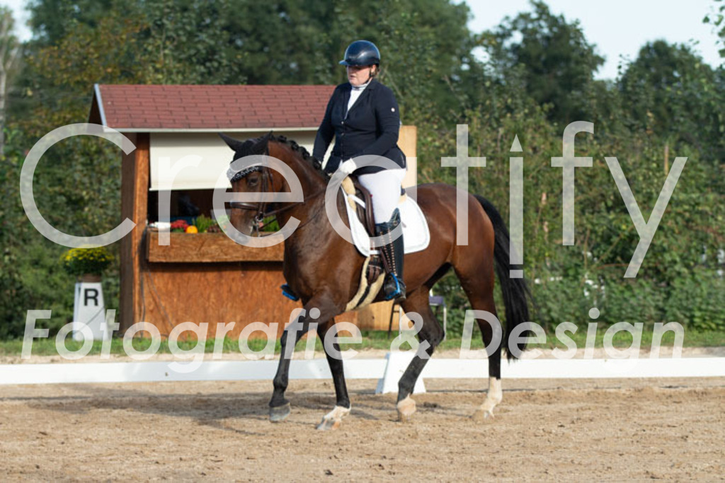 IMG_1149 | Creatify Fotografie