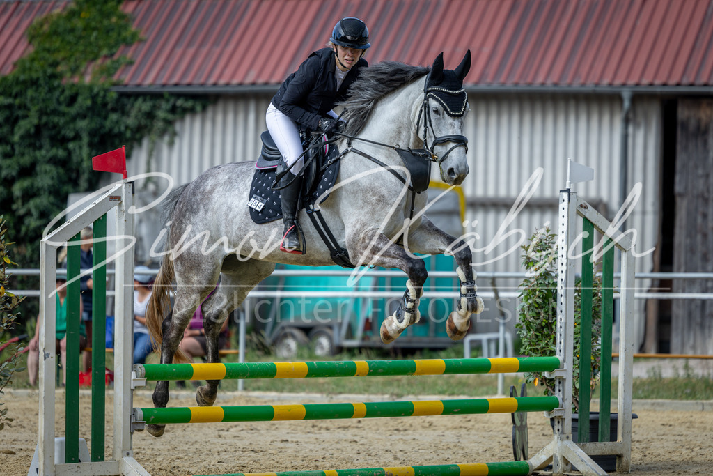 20260704-_3LI6687 | Tierfotografie Pferde, Hunde, Katzen, Haustiere.
Turnierfotografie Reitturniere, Reiten, Springreiten, Dressur in Hanau, dem Main-Kinzig-Kreis und dem Rhein-Main- Gebiet um Frankfurt