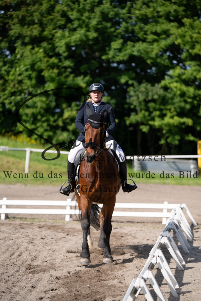 A7V02463 | Pferdefotograf