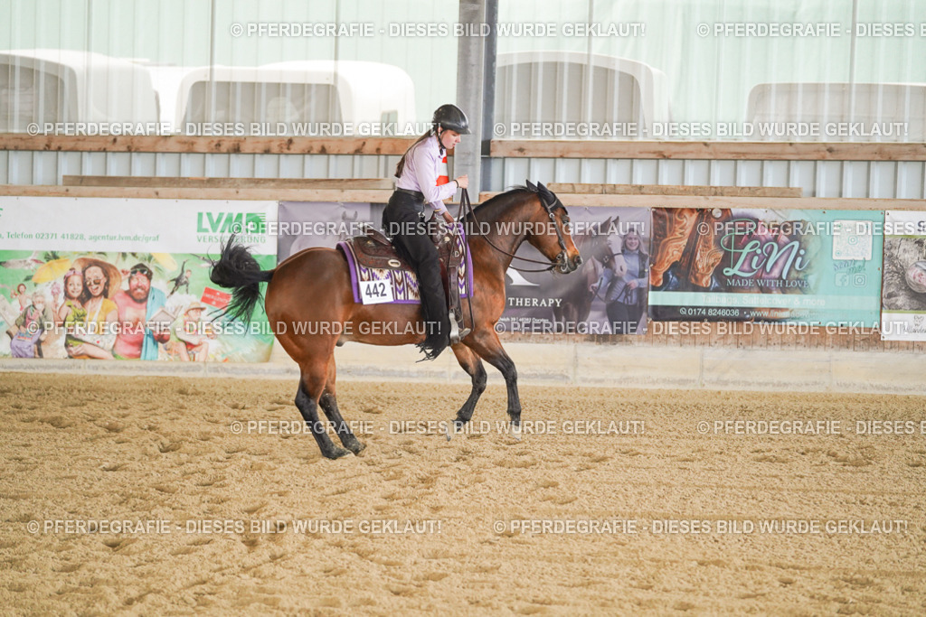 DSC09936 | Pferdegrafie