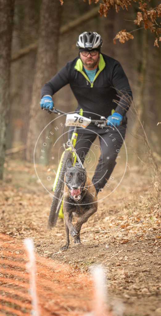 Pfotenfotografie_DV3A4211 | Hundefotografie, Tierfotograf, Pfotenfotografie, Fotoshooting Hund, Hunde Portrait, Hundesport, Hundeportraits, Heideshooting, Hunde, Sportfotograf, Hundefotograf, Turnierhundsport, THS,  - Realisiert mit Pictrs.com
