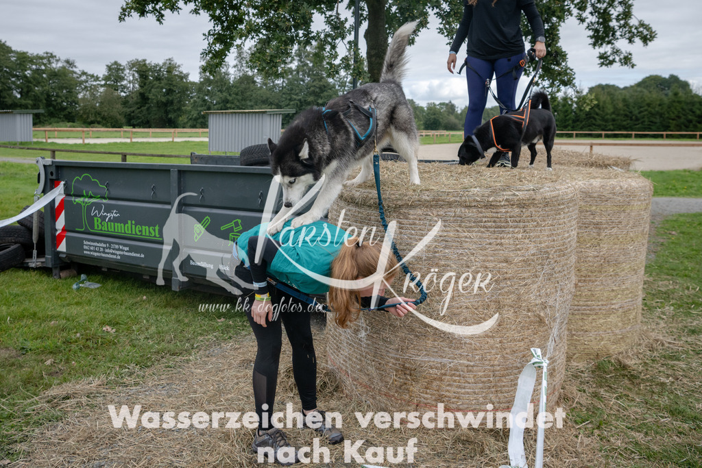 1232_ZZ91145 | kk-dogfotos