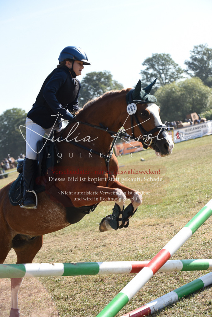 DSC_5997 | Pferde- und Turnierfotografie in Westsachsen. Pferdeportraits, Auftragszeichnungen und intuitive Kunst.