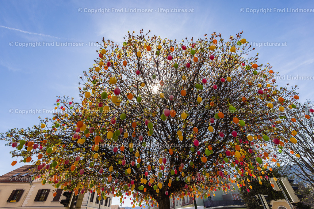 Frohnleiten Ostern Osterdeko 2022-5937 | Fotos und Fotoprodukte - Realisiert mit Pictrs.com