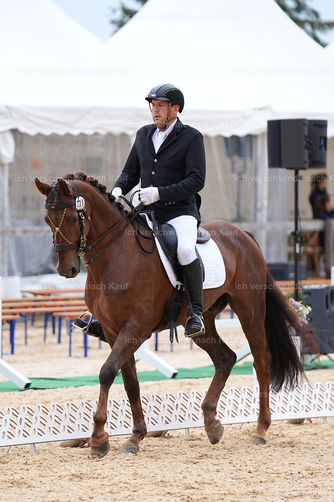 3-239-Dressur M_-Marixx-1907 | working equitationturnier fotograf videograf stoibphotography marixx film working equitation deutschland reitsport turnierfotografie eventfotografie equestrian events