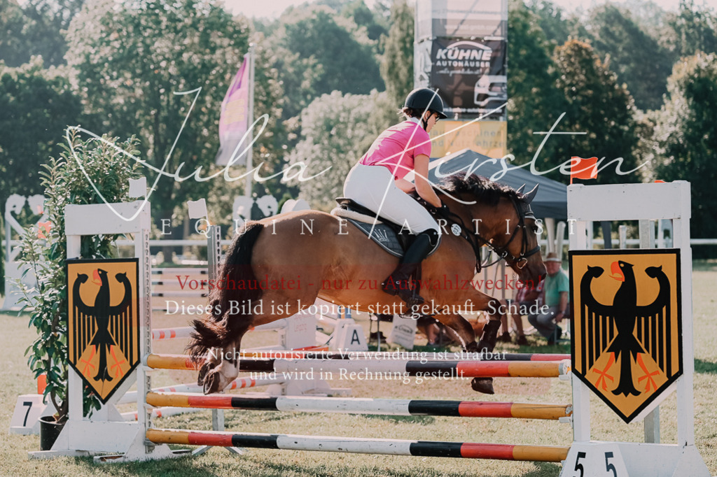 DSC_4581 | Pferde- und Turnierfotografie in Westsachsen. Pferdeportraits, Auftragszeichnungen und intuitive Kunst.