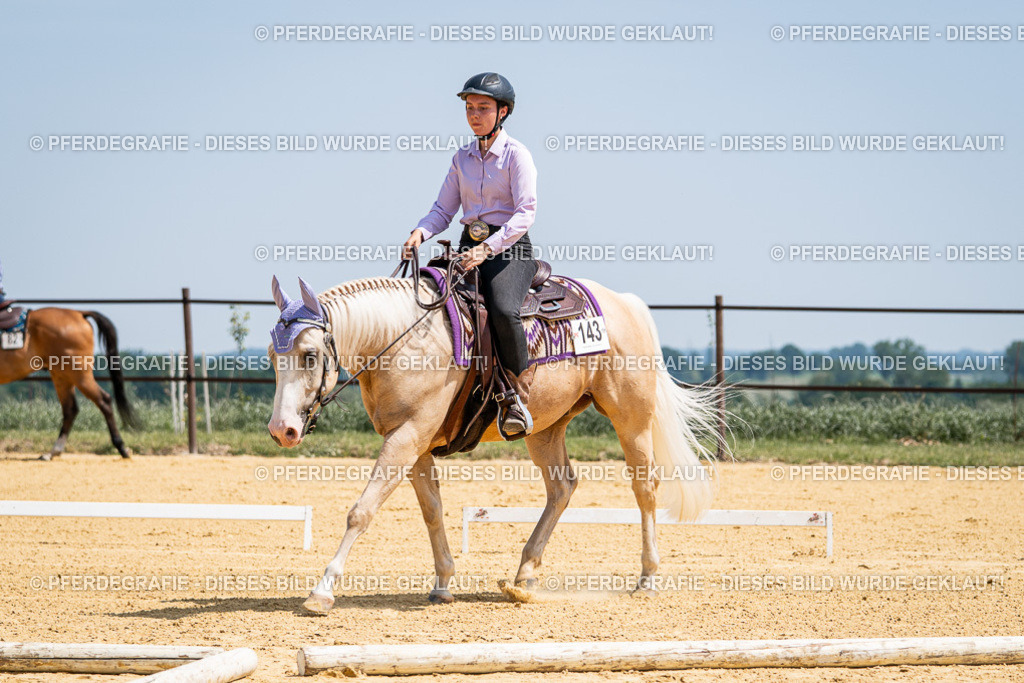 DSC01076 | Pferdegrafie