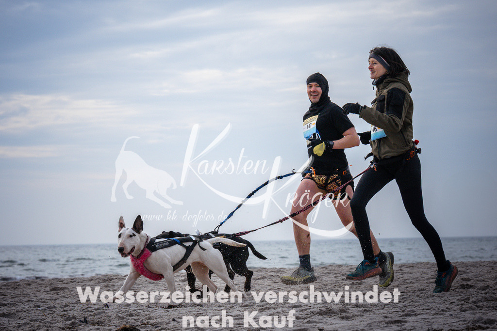 1040_ZZ96038 | kk-dogfotos