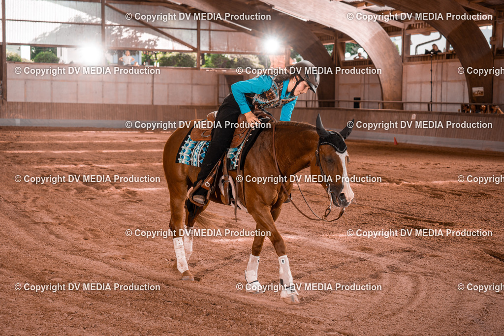 NE201155 | dv-media-shop - Realisiert mit Pictrs.com