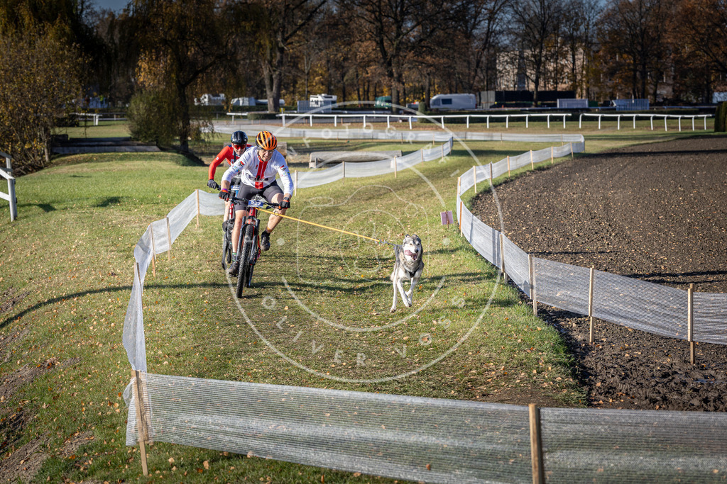 CaniXpix_DV3A3733 | Hundefotografie, Tierfotograf, Pfotenfotografie, Fotoshooting Hund, Hunde Portrait, Hundesport, Hundeportraits, Heideshooting, Hunde, Sportfotograf, Hundefotograf, Turnierhundsport, THS,  - Realisiert mit Pictrs.com