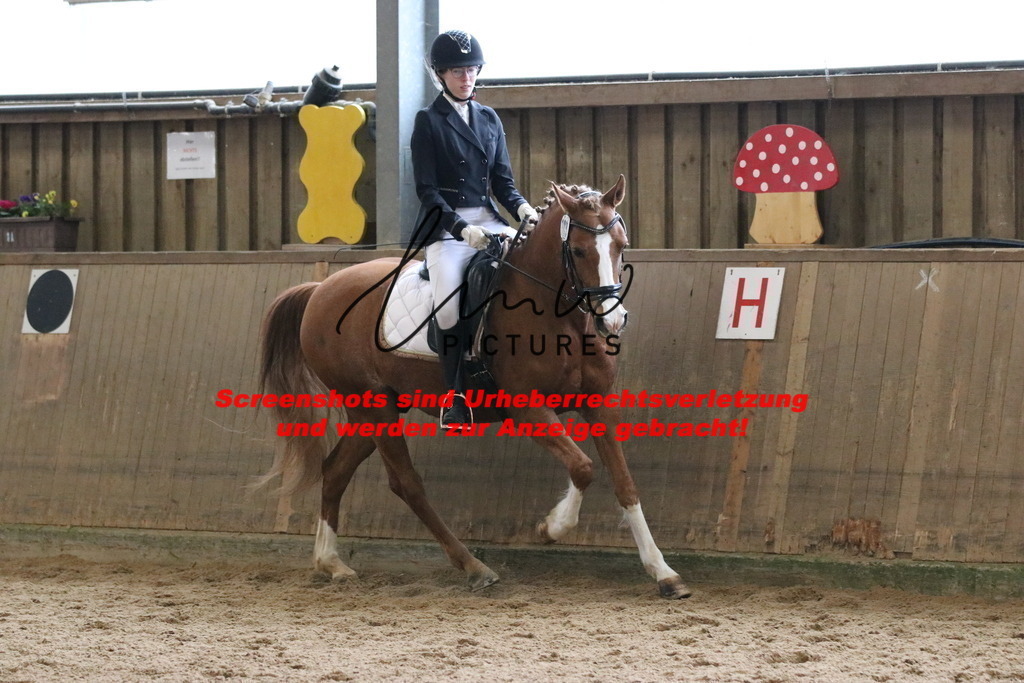 IMG_6959 | lmwpictures - Realisiert mit Pictrs.com