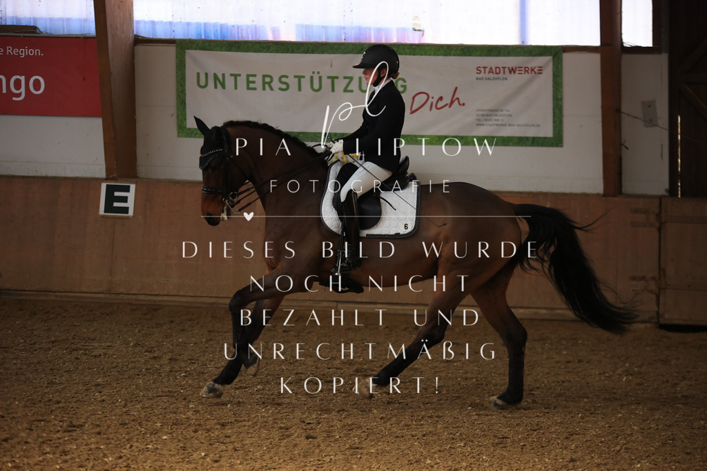 IMGT2970 | pl-fotografie