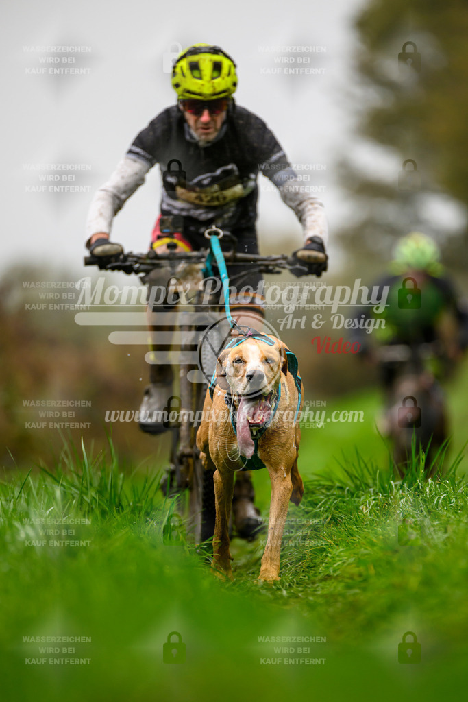 MompixPhotography_20TSB_E8_Bike-38 | PayLife