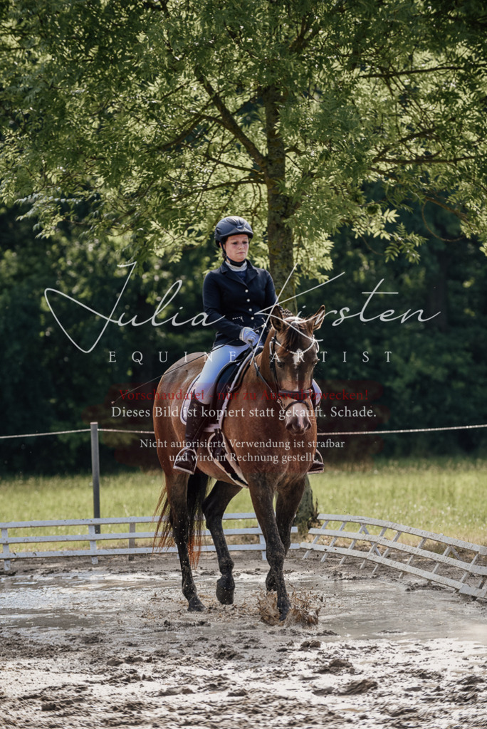 DSC_9215 | Pferde- und Turnierfotografie in Westsachsen. Pferdeportraits, Auftragszeichnungen und intuitive Kunst.
