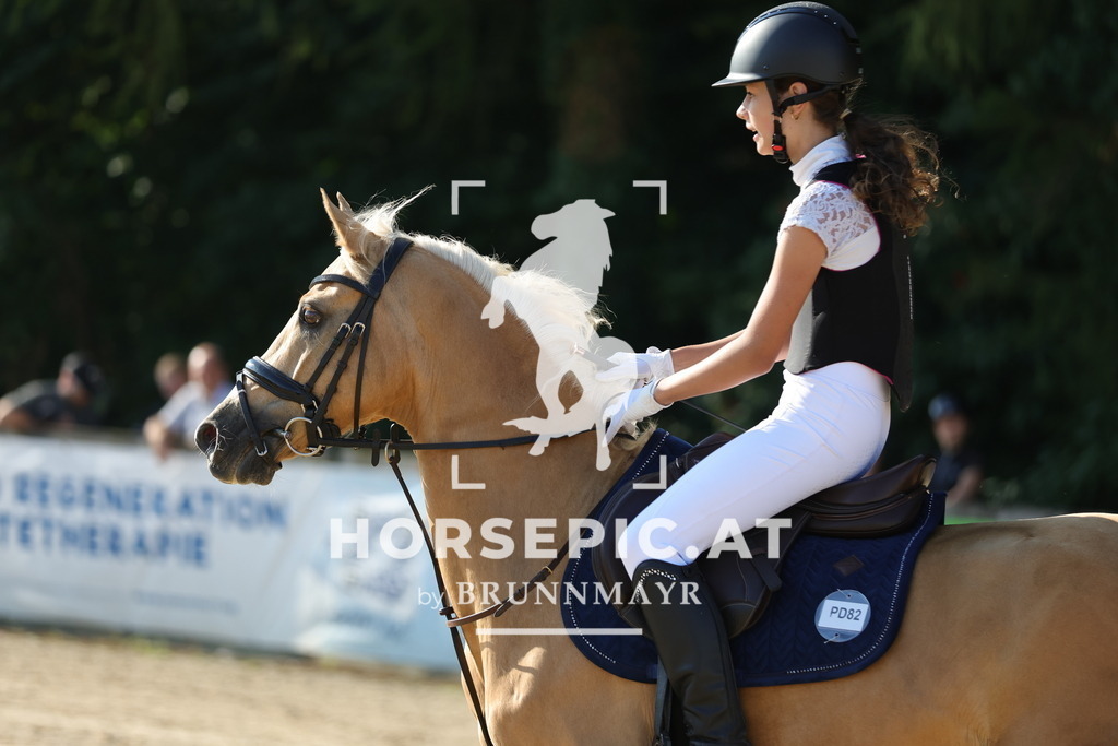 0P6A4311 | Willkommen bei Brunnmayr - Design & Fotografie – Ihrem Spezialisten für Reitturniere und Pferdeveranstaltungen in Oberösterreich, Salzburg und Bayern! Seit über 17 Jahren sind wir leidenschaftlich dabei.