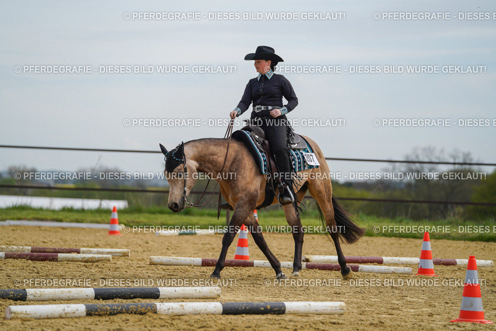 DSC03866 | Pferdegrafie