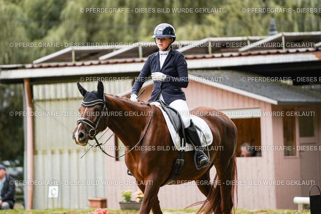 DSC06986 | Pferdegrafie