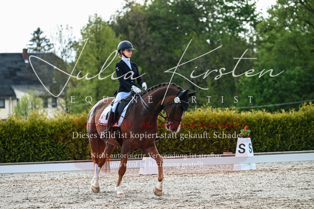 20230513_JK-Röhrsdorf-10-0476 | Pferde- und Turnierfotografie in Westsachsen. Pferdeportraits, Auftragszeichnungen und intuitive Kunst.