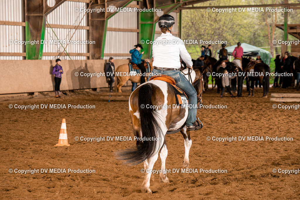 BAL00350 | dv-media-shop - Realisiert mit Pictrs.com