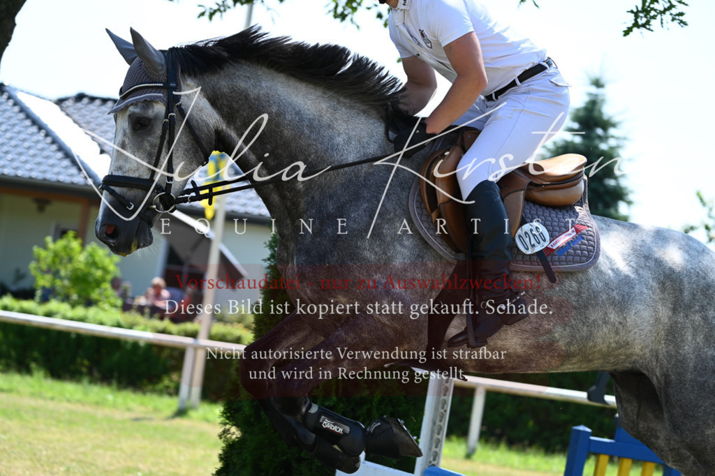 DSC_0556 | Pferde- und Turnierfotografie in Westsachsen. Pferdeportraits, Auftragszeichnungen und intuitive Kunst.