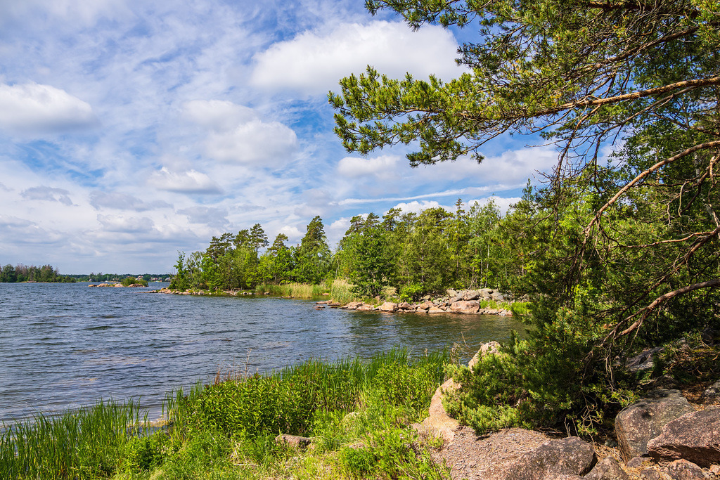 Ostseeküste mit Felsen und Bäumen bei Figeholm in Schweden | Ostseeküste mit Felsen und Bäumen bei Figeholm in Schweden.