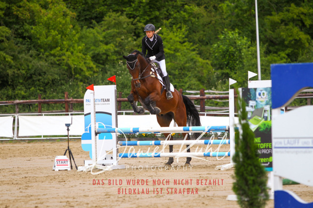 DKP41636 | Turniersportfotografie; Pferdefotografie; Dressurfotografie