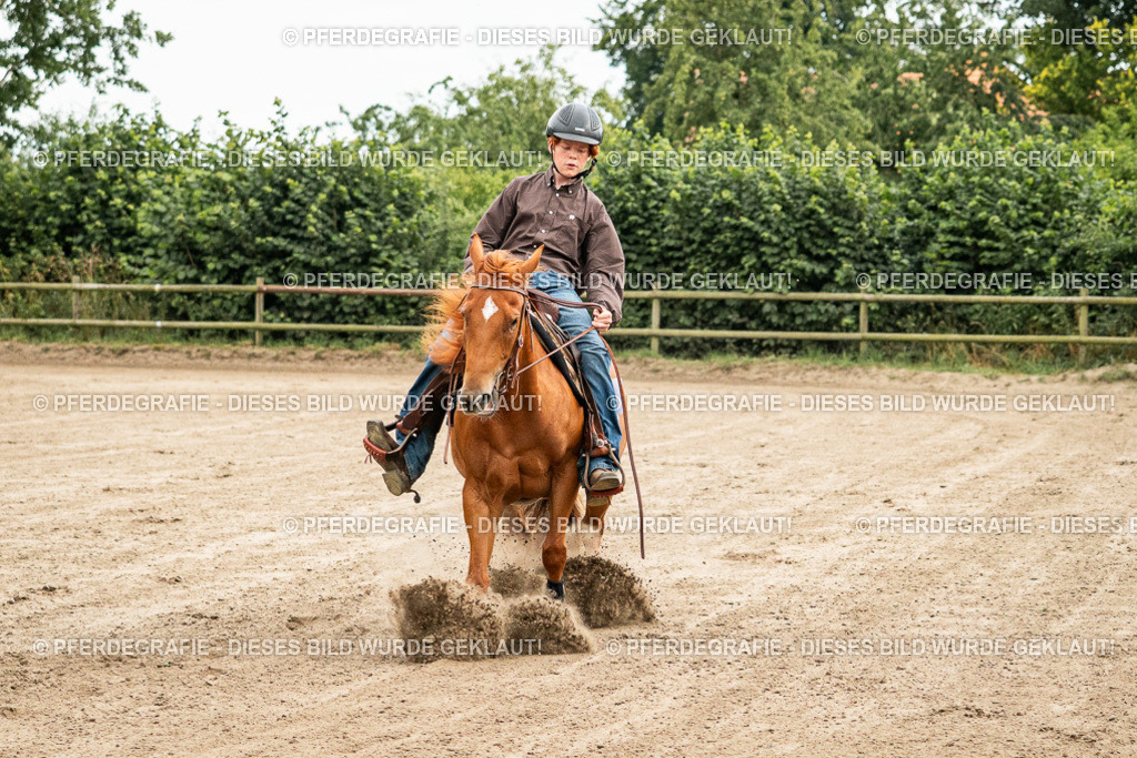 DSC04859 | Pferdegrafie