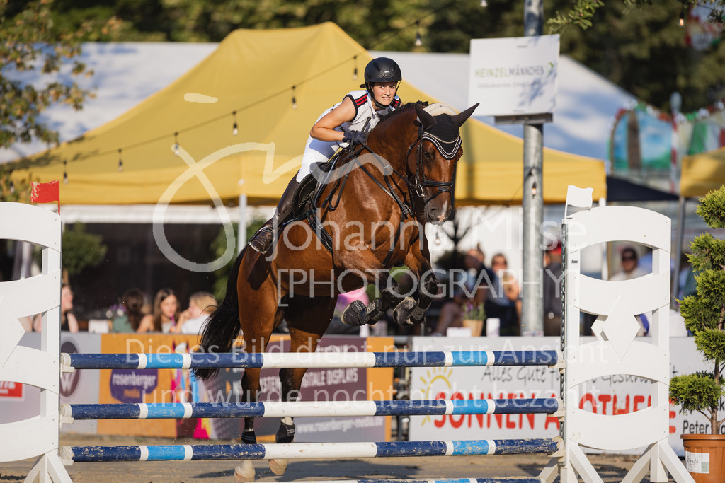 230823_Delbrueck_Stil-A1-168 | Deine schönsten Turniermomente als professionelle Fotos! Entdecke hochwertige Pferdesport-Fotografie im Online-Shop. Jetzt Fotos finden & bestellen!