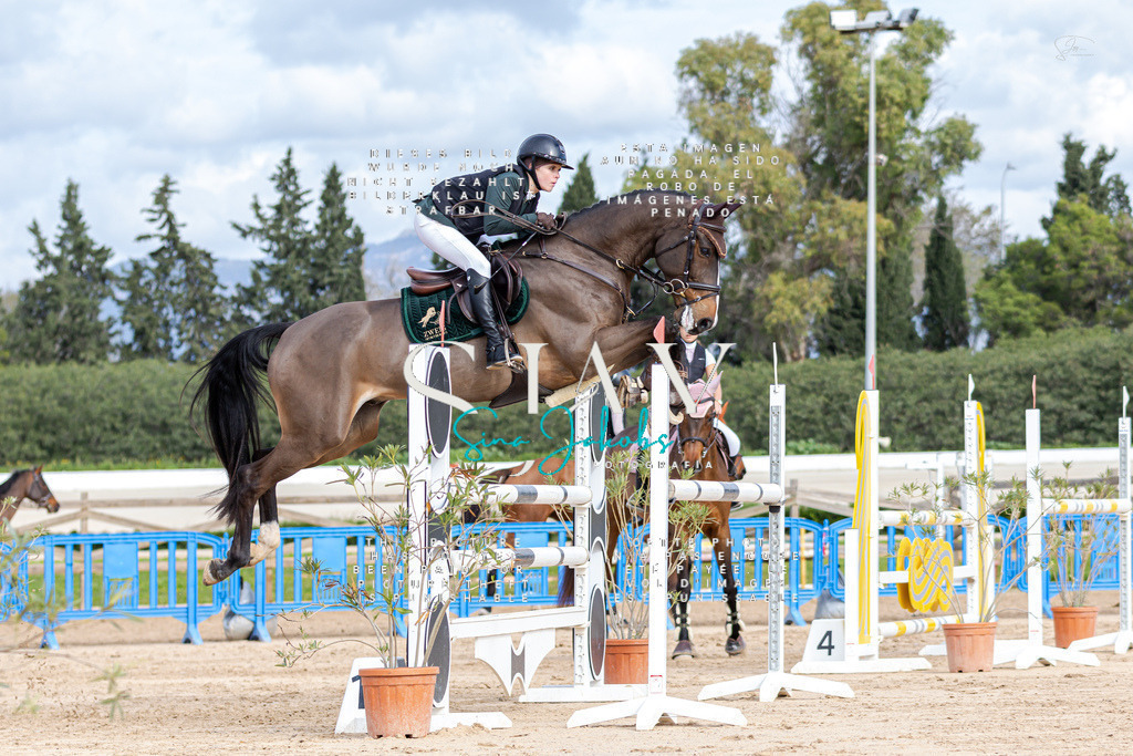 IMG_2800 | s-jay-photography - Realisiert mit Pictrs.com