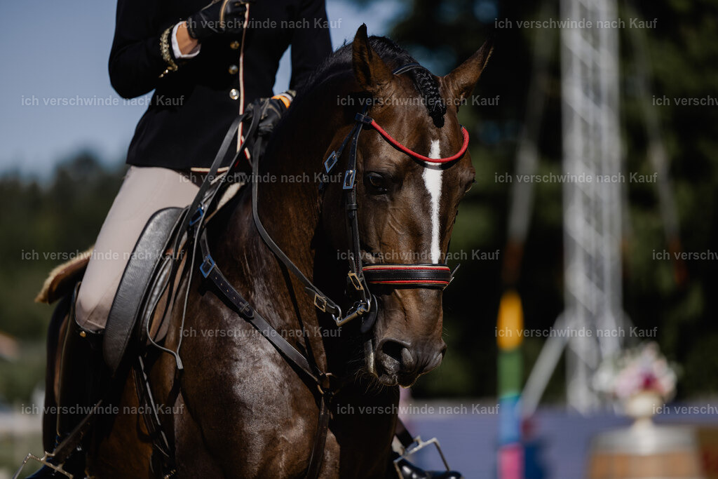 Virginie12FHC2025-27603 | working equitationturnier fotograf videograf stoibphotography marixx film working equitation deutschland reitsport turnierfotografie eventfotografie equestrian events
