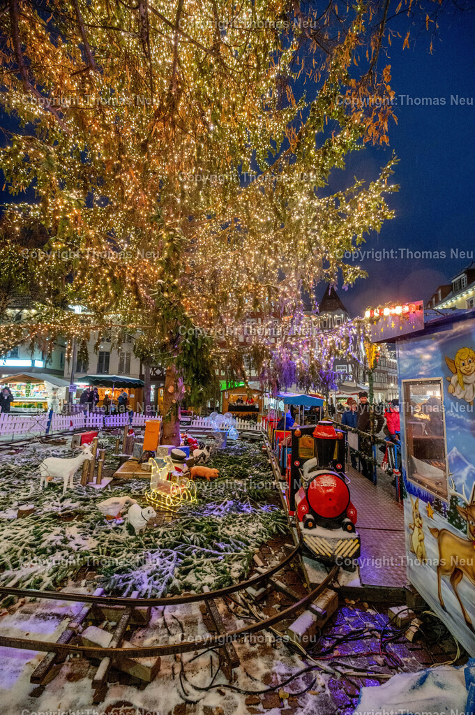 DSC_3252 | Blick auf den Weihnachtsmarkt in Bensheim, die Riesentanne schmückt den Marktplatz