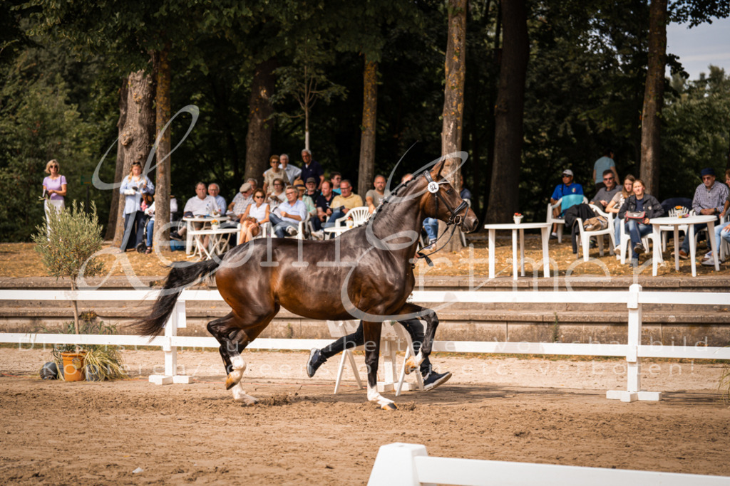 6.Fr00005 | Leoni Ertmer Photography - Realisiert mit Pictrs.com