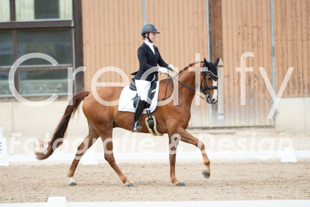 IMG_6215 | Creatify Fotografie