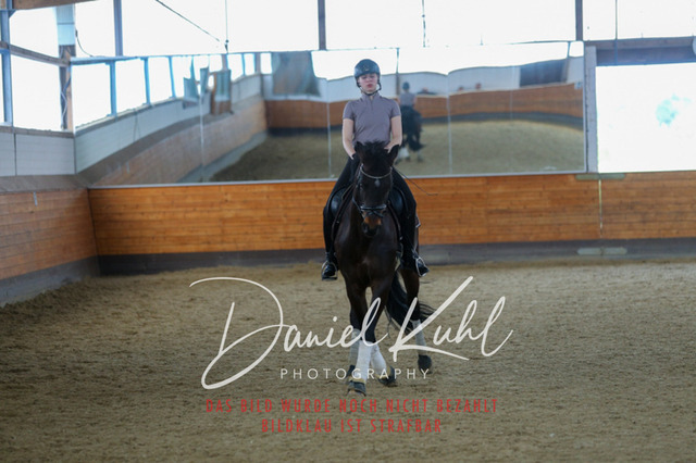 IMG_3514 | Turniersportfotografie; Pferdefotografie; Dressurfotografie